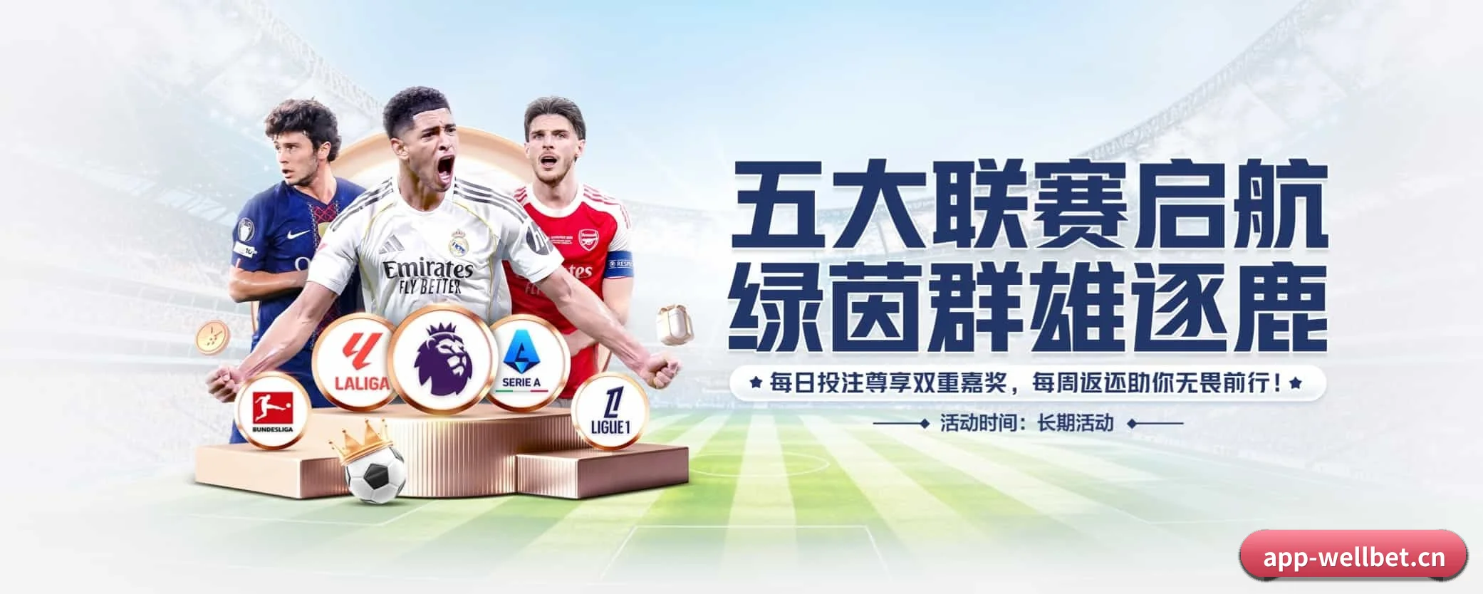 五大服务专区严密划分，信息结构一目了然（wellbet）
